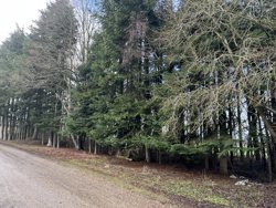 Hammelvej 250, Bøstrup, 8870 Langå