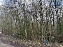 Hammelvej 250, Bøstrup, 8870 Langå