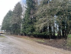 Hammelvej 250, Bøstrup, 8870 Langå