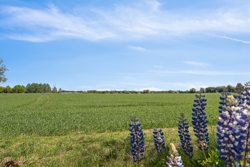 Sølvstensvej 26, Horn, 8882 Fårvang