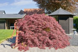 Øster Bordingvej 29, 8600 Silkeborg