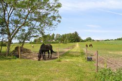 Randersvej 113, Handest, 8990 Fårup