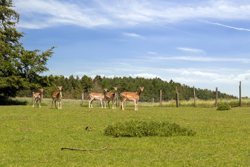 Askhøjvej 64, Albøge, 8570 Trustrup