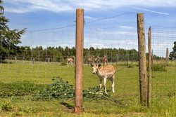 Askhøjvej 64, Albøge, 8570 Trustrup