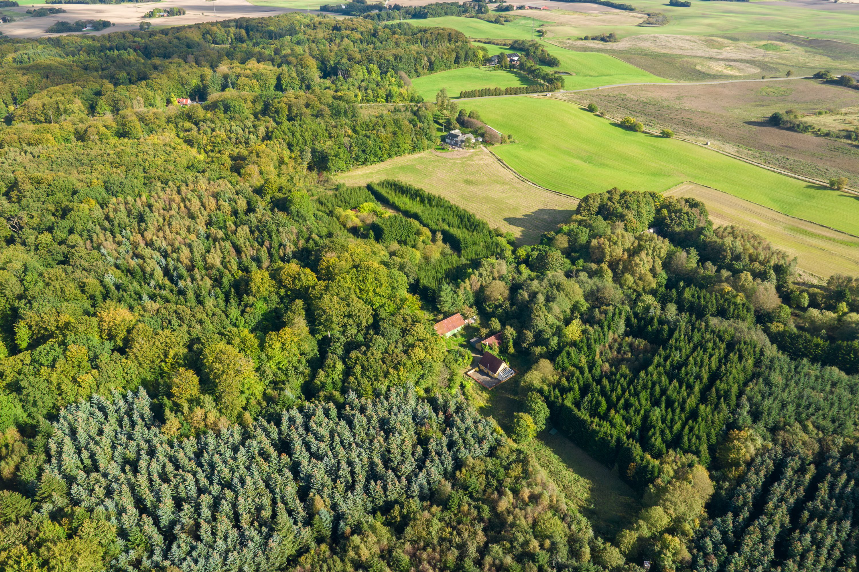 Hobbylandbrug på Trige Skovvej 4 8520 Lystrup.