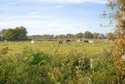 Søndermarken 14, Hammerum, 7400 Herning