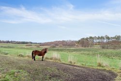 Emmedsbovej 25, Brøndstrup, 8500 Grenaa