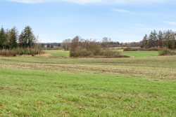 Langmosevej 4, 9750 Østervrå