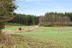 Langmosevej 4, 9750 Østervrå