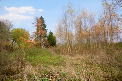 Stationsvej 17A, Uggerslev, 5450 Otterup