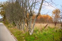 Stationsvej 17A, Uggerslev, 5450 Otterup