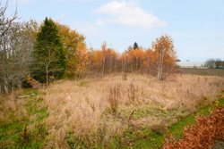 Stationsvej 17A, Uggerslev, 5450 Otterup