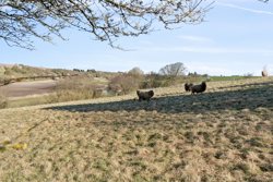 Horsens Hedegårdsvej 5, Horsens, 9520 Skørping