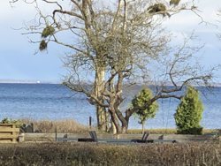 Søren Krogs Vej 7, Binderup, 6091 Bjert