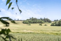 Ålbækvej 48, Lihme, 7860 Spøttrup