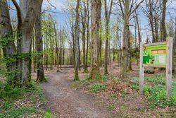 Birkeskrænten 35, 8600 Silkeborg