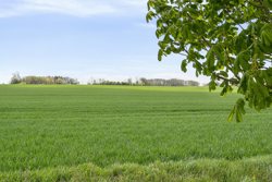 Præstegårdsbakken 16, Møgelthorum, 7870 Roslev