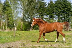 Kragelundvej 6, Hvorslev, 8860 Ulstrup
