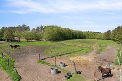 Vejlgårdvej 11, Vejlgårde, 7800 Skive