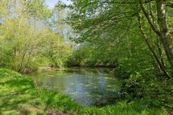 Odinsgaardsvej 1, 7270 Stakroge