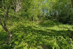Rebildvej 40, Rebild, 9520 Skørping