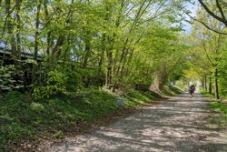 Elbækskovvej 23, Stensballe, 8700 Horsens