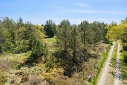 Gerdasvej 31, Trend, 9670 Løgstør