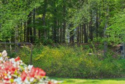 Himmerlandsgade 45, 9560 Hadsund