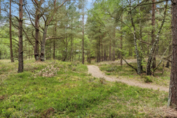 Sommerland 92, Odde, 9560 Hadsund