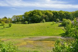 Svampedamvej 17, Femmøller, 8400 Ebeltoft