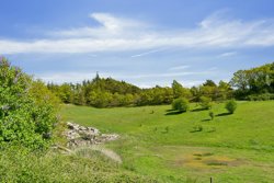 Svampedamvej 17, Femmøller, 8400 Ebeltoft