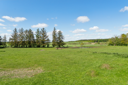 Viborgvej 113, Nørhoved, 8766 Nørre Snede