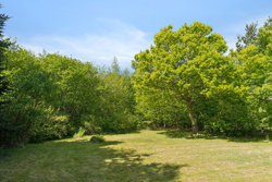 Tangvej 3, Bønnerup Strand, 8585 Glesborg