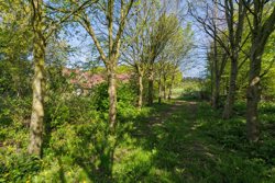 Holmgårdvej 165, Møborg, 7660 Bækmarksbro