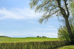 Vesterled 22, Kvorning, 8830 Tjele