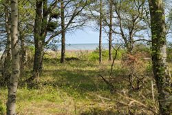 Odde Naturpark 55, Helberskov, 9560 Hadsund
