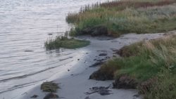Odde Naturpark 55, Helberskov, 9560 Hadsund