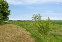 Buddumvej 44, Als, 9560 Hadsund