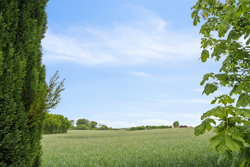 Nørretoften 16, Haurum, 8450 Hammel