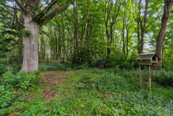 Hjøllundvej 24, Arnborg, 7400 Herning