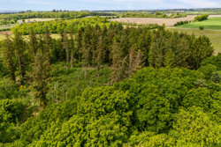 Solskovvej 8, Albæk, 7400 Herning
