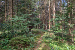 Tyttebærvej 13, 9560 Hadsund