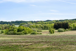 Gl. Viborgvej 13, Vejrumbro, 8830 Tjele