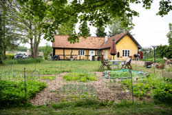 Tinghøjvej 4, Demstrup, 8620 Kjellerup
