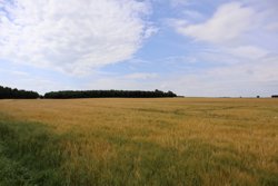 Tinghøjvej 4, Demstrup, 8620 Kjellerup