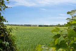 Randersvej 63, Helstrup, 8920 Randers NV