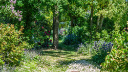 Brovejen 127, 5500 Middelfart