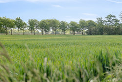 Rønningen 5, Øster Hurup, 9560 Hadsund
