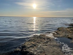 Korsikanerskoven 40, Helberskov, 9560 Hadsund