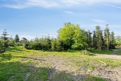 Fåborgvej 2, Heden, 5750 Ringe